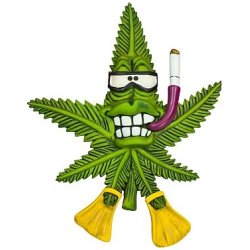 Cannabuds Magnet  "Rasta Bud"