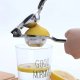 Citruspresser