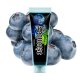 Hookah  Squeeze  Creme  25 gr  " Blueberry "