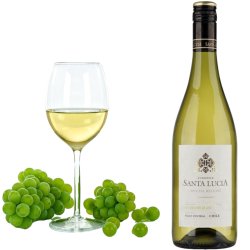 Santa Lucia Sauv. Blanc Hvid 75  cl