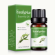 Essentielle Olier  10 ml  "Eukalyptus"
