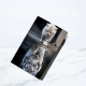 Cigaret Etui Kort m Click  "Kat/Tiger"