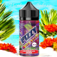 Fizzy Wild Berries 30 ml