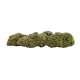 "2 gram"  CBD Greenhouse Amnesia  13 % CBD