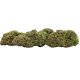 "2 gram"  CBD Greenhouse Amnesia  13 % CBD