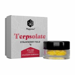 Terpsolate Extract Strawberry Field 97% CBD  "1 gram"