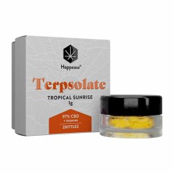 Terpsolate Extract Tropical Sunrise  97% CBD  "1 gram"