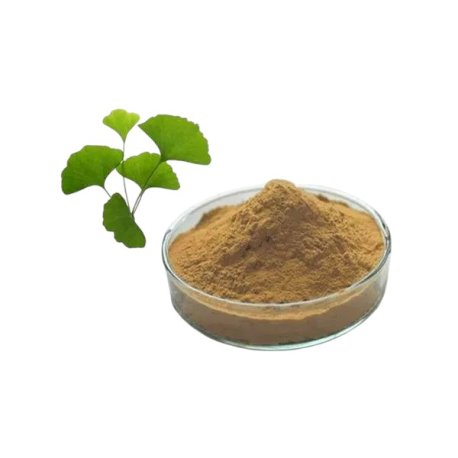 "10 gram" Ginkgo Biloba Powder Extract