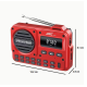 SENBOWE Bærbar FM-radio