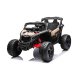 Can-Am Maverick UTV m/Lithium + 4xMotor
