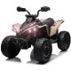 Can-Am Renegade EL ATV 10,8V