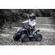 Can-Am Renegade EL ATV 10,8V