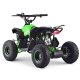EL ATV Renegade Børsteløs 1200W 48V Kardan   "Grøn"