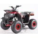 Sirius ATV 125CC m/3+1 Gear 8''   "Sort/Rød"