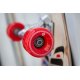 Playlife Longboard Cherokee Skateboard