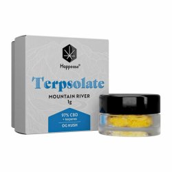 Terpsolate Extract Mountain River 97% CBD  "1 gram"