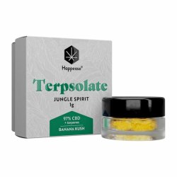 Terpsolate Extract Jungle Spirit  97% CBD  "1 gram"
