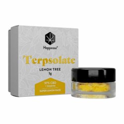 Terpsolate Extract Lemon Tree  97% CBD  "1 gram"