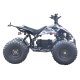 EL ATV Brushless Shaft 800W 48V