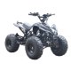 EL ATV Brushless Shaft 800W 48V