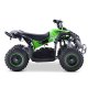 EL Mini ATV Renegade 1000W m/fart Begrænser+lys   "Grøn"