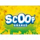 Scoop  Ananas 10 ltr