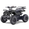 ATV 49CC MiniFarmer   "Sort"