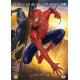 Spider-Man 3    "DVD"