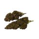 "2 gram"  CBD Crazy Glue  30 % CBD