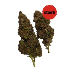 "2 gram"  CBD Crazy Glue  30 % CBD