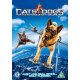 Cats & Dogs - Kitty Galores Hævn   "Blu-Ray"